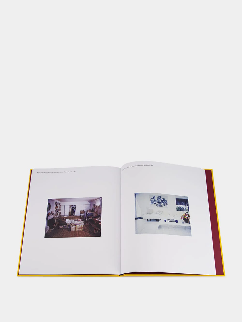 New York Living Rooms by Dominique Nabokov - Image 4
