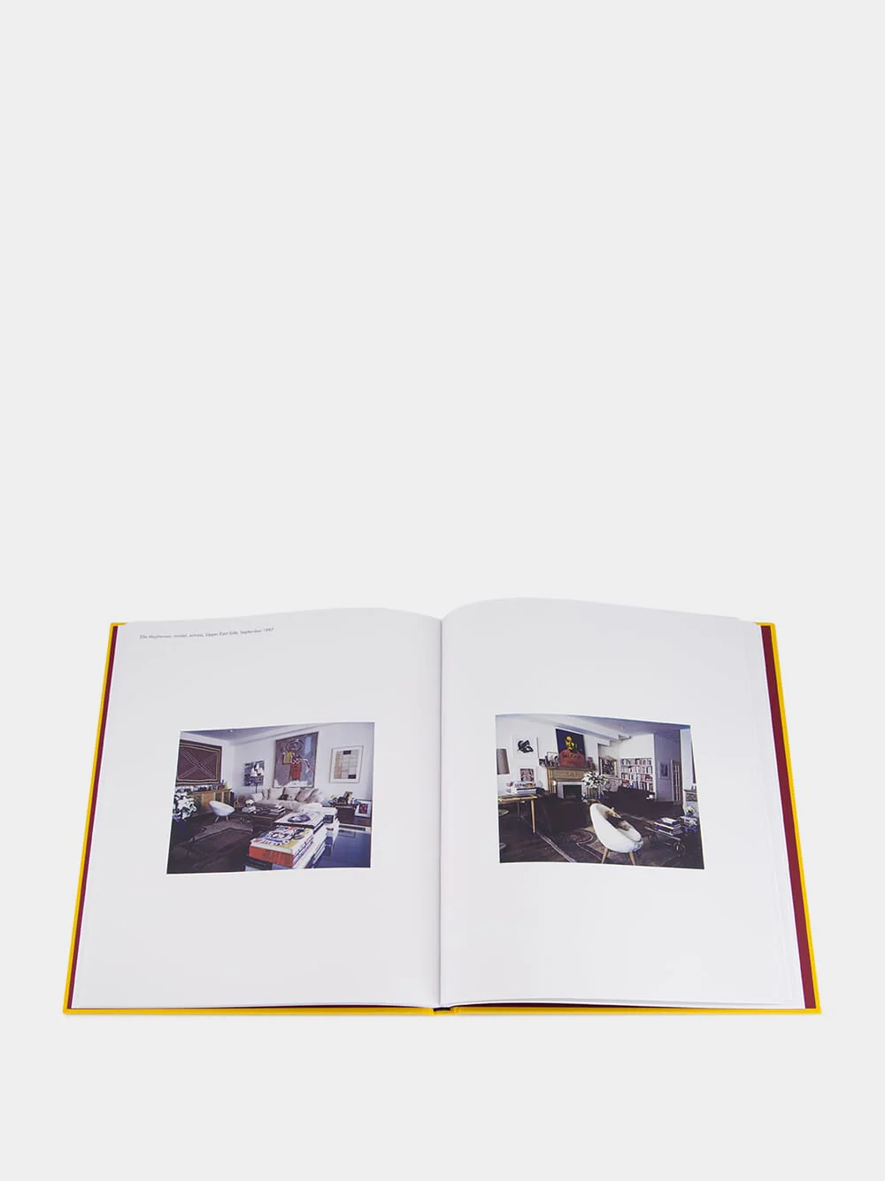 New York Living Rooms by Dominique Nabokov - Image 5