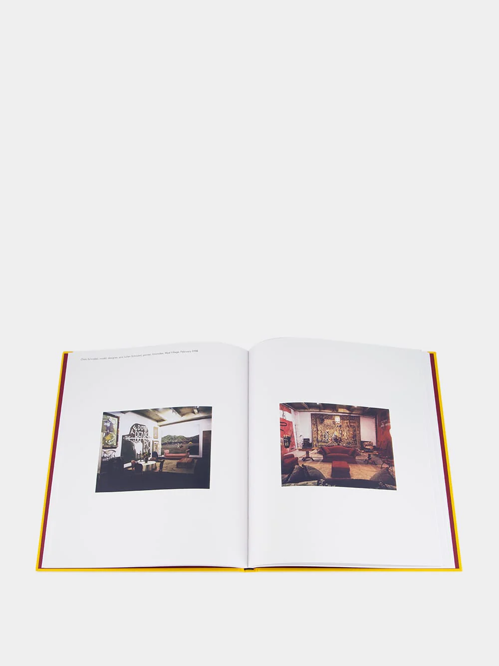 New York Living Rooms by Dominique Nabokov - Image 6