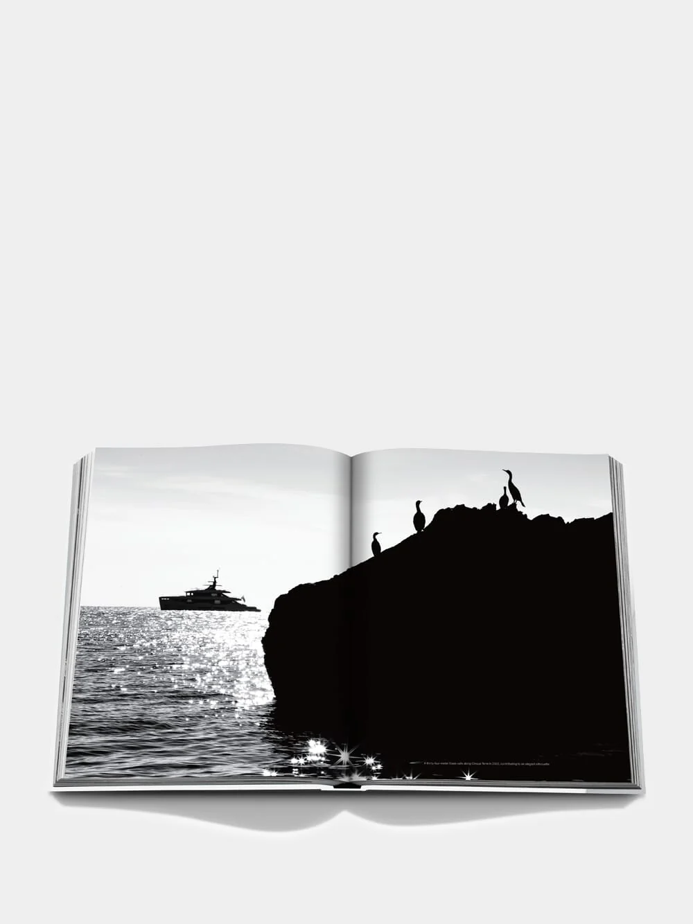 Benetti - Image 8