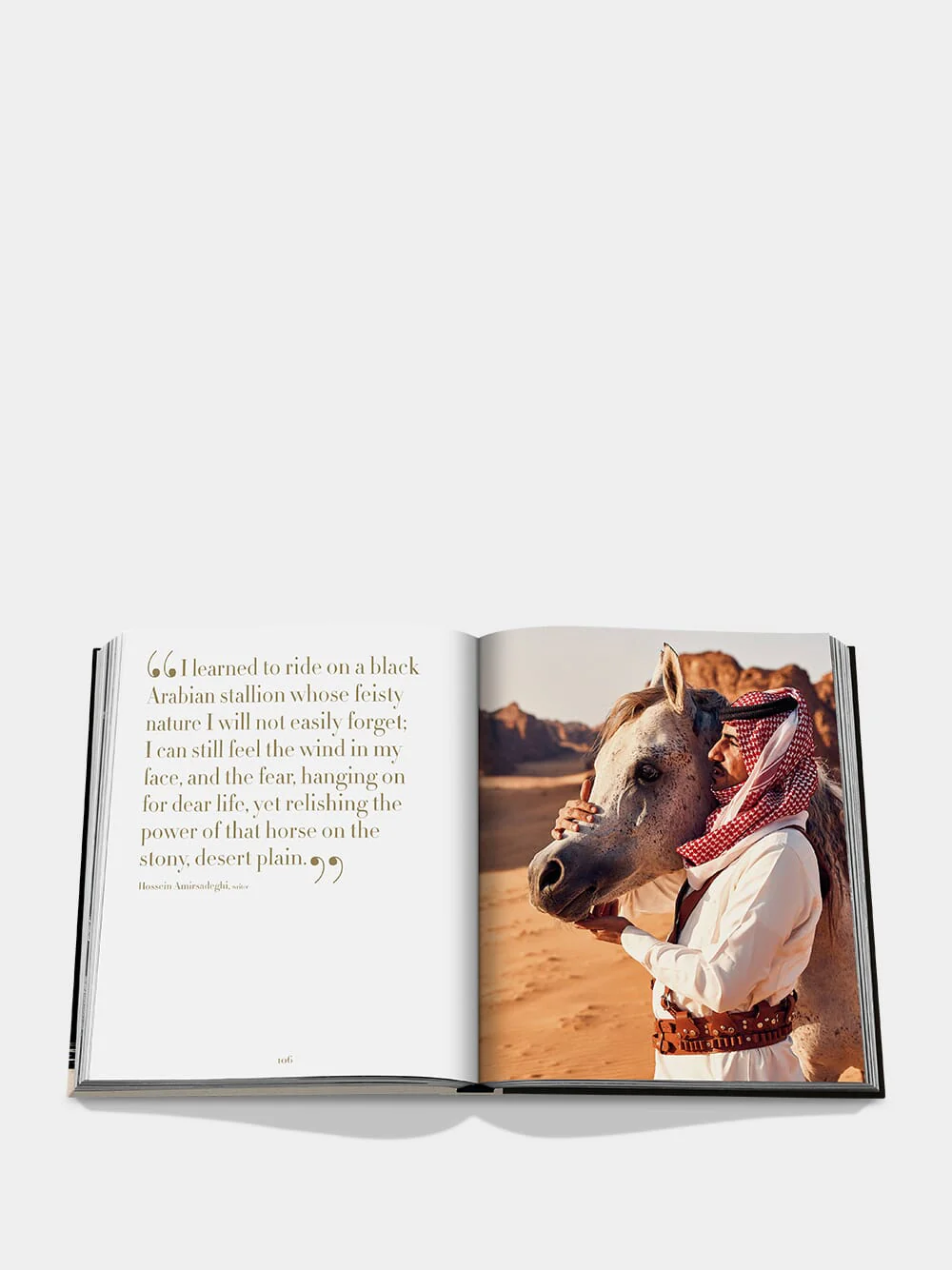 Horses from Saudi Arabia - Image 4