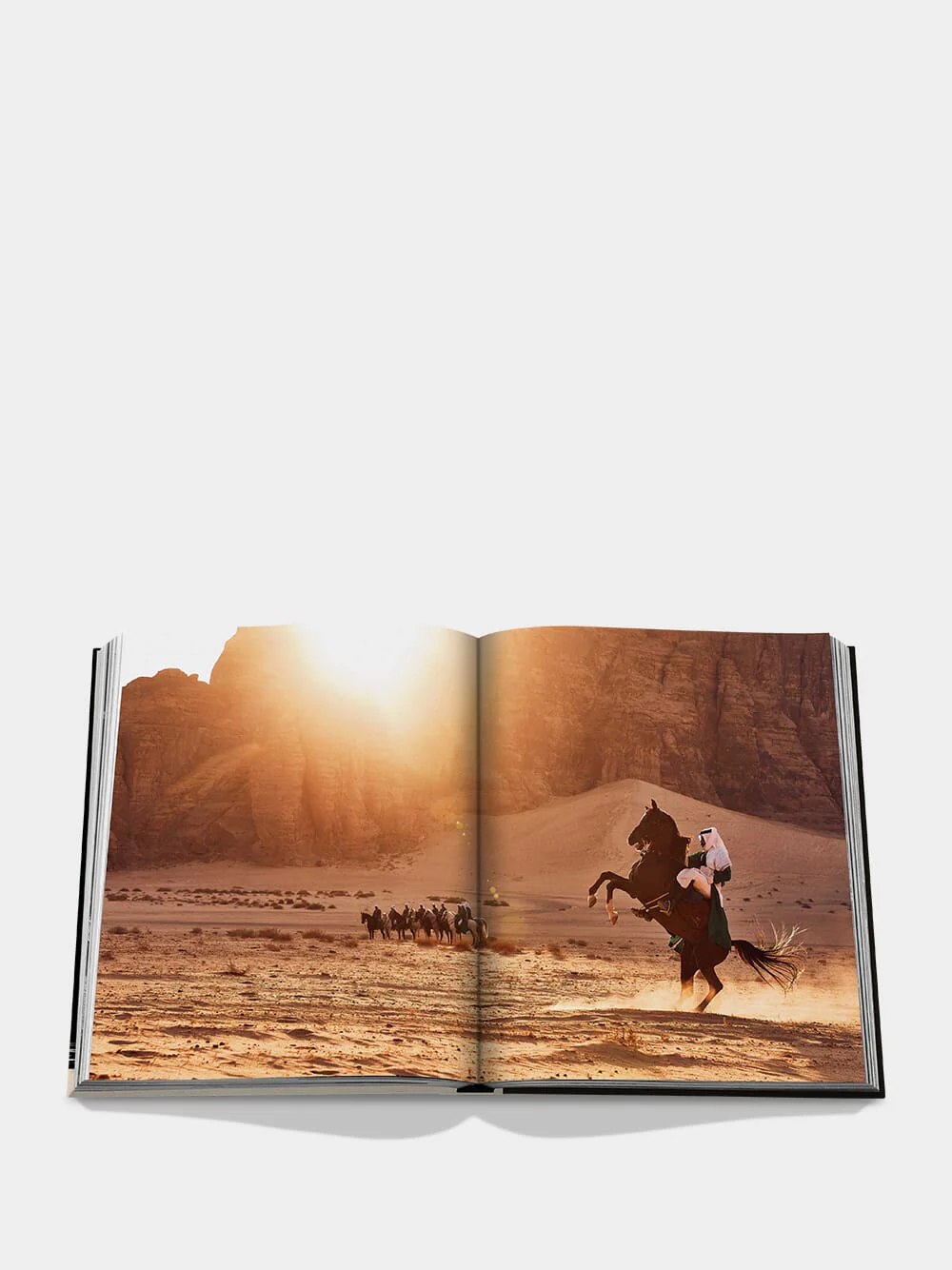 Horses from Saudi Arabia - Image 5