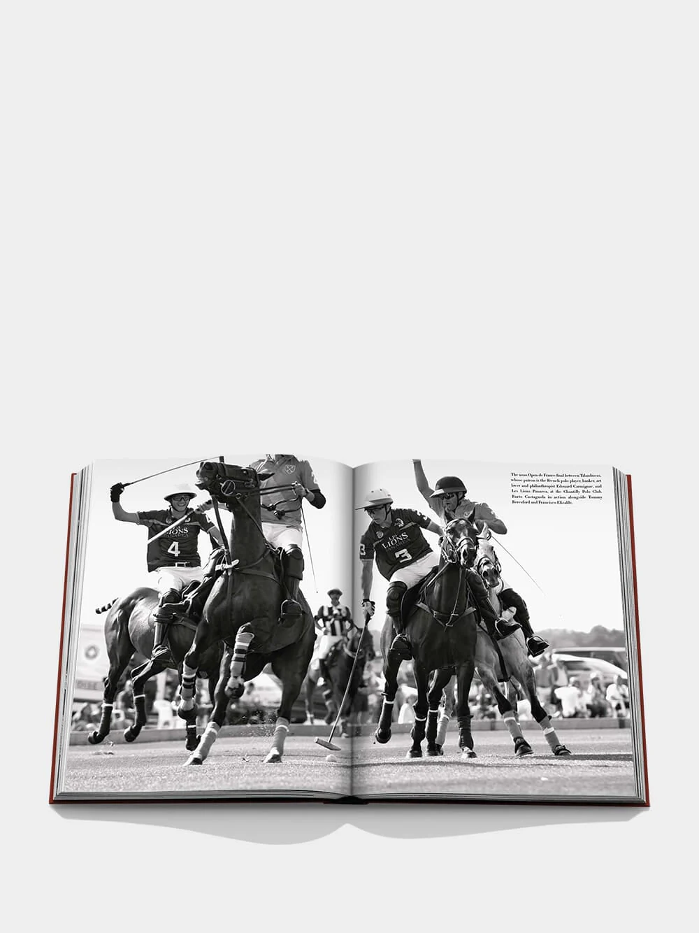 Polo Heritage - Image 3