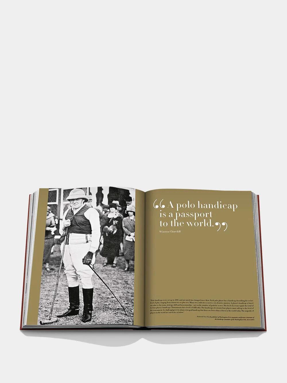 Polo Heritage - Image 4