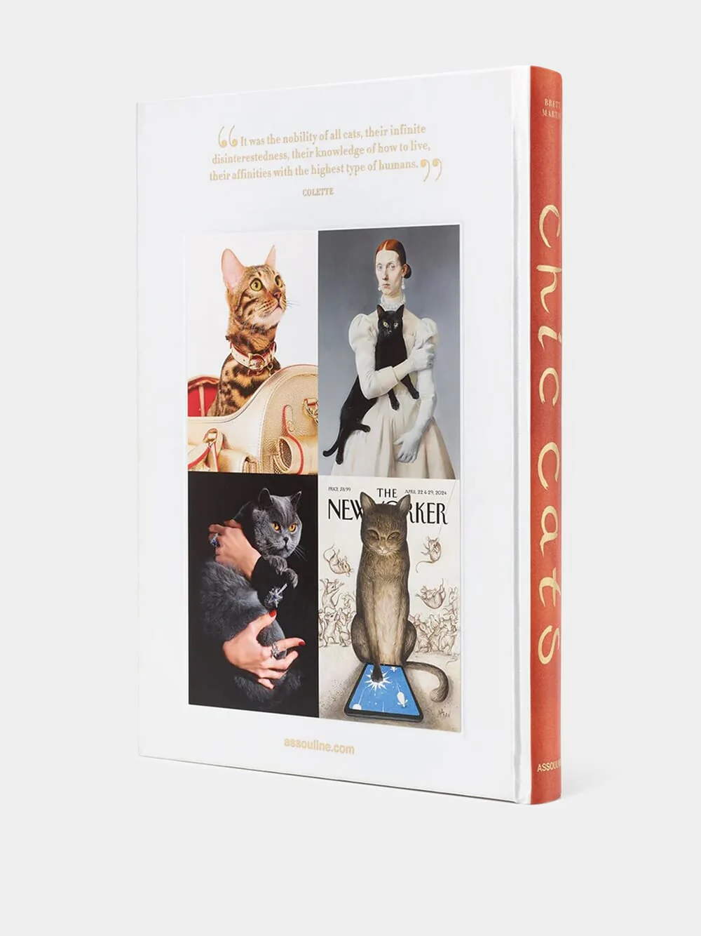 Chic Cats - Image 2