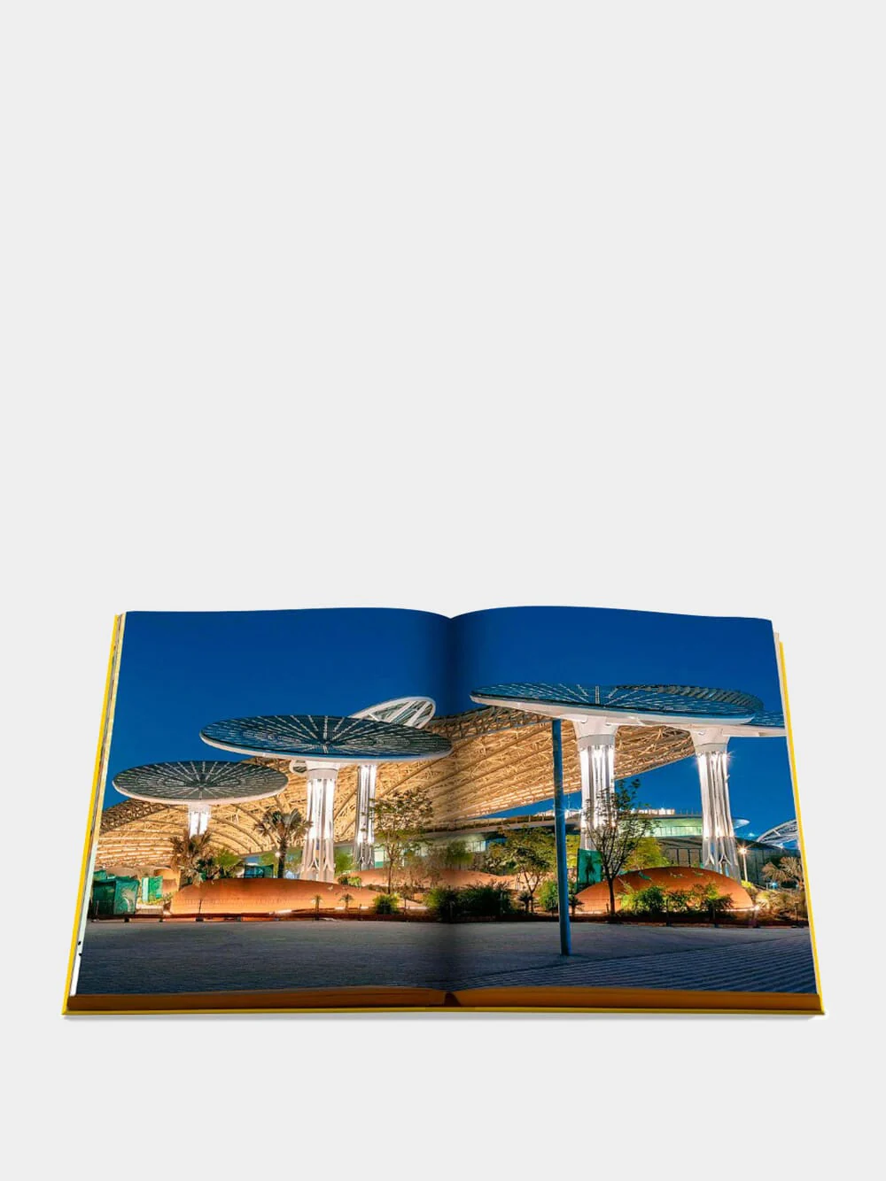 Expo 2020 Dubai: Catalog - Site, Themes, Architecture - Image 3