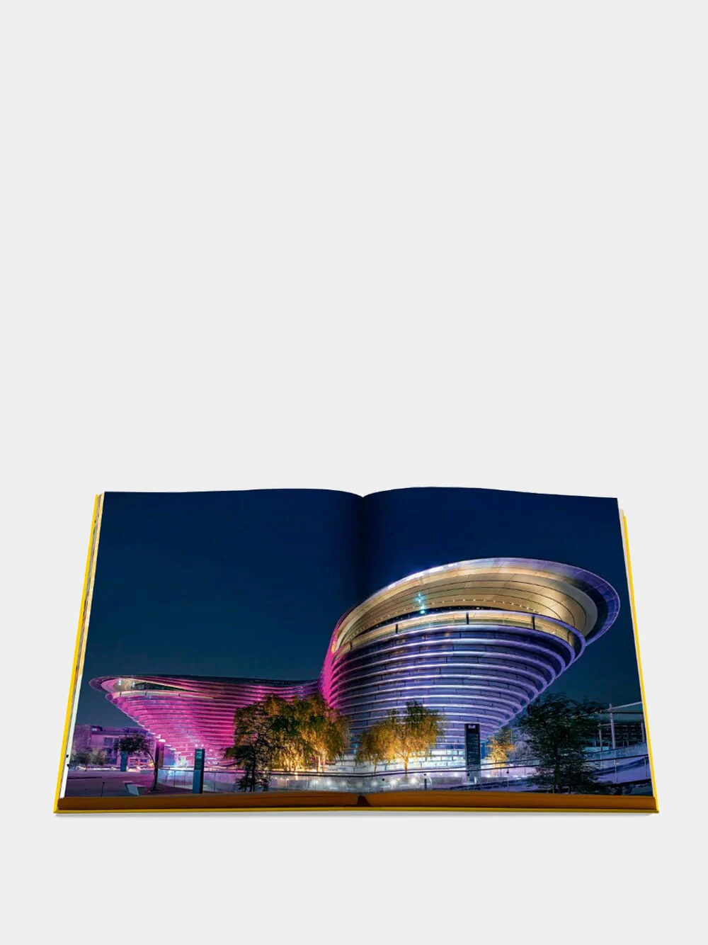 Expo 2020 Dubai: Catalog - Site, Themes, Architecture - Image 4