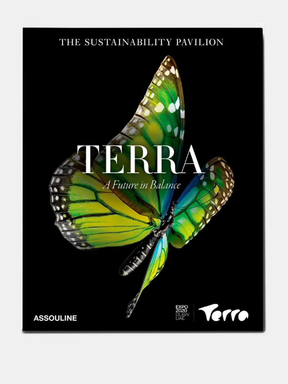 Expo 2020 Dubai: Terra-The Sustainability Pavilion - Image 2