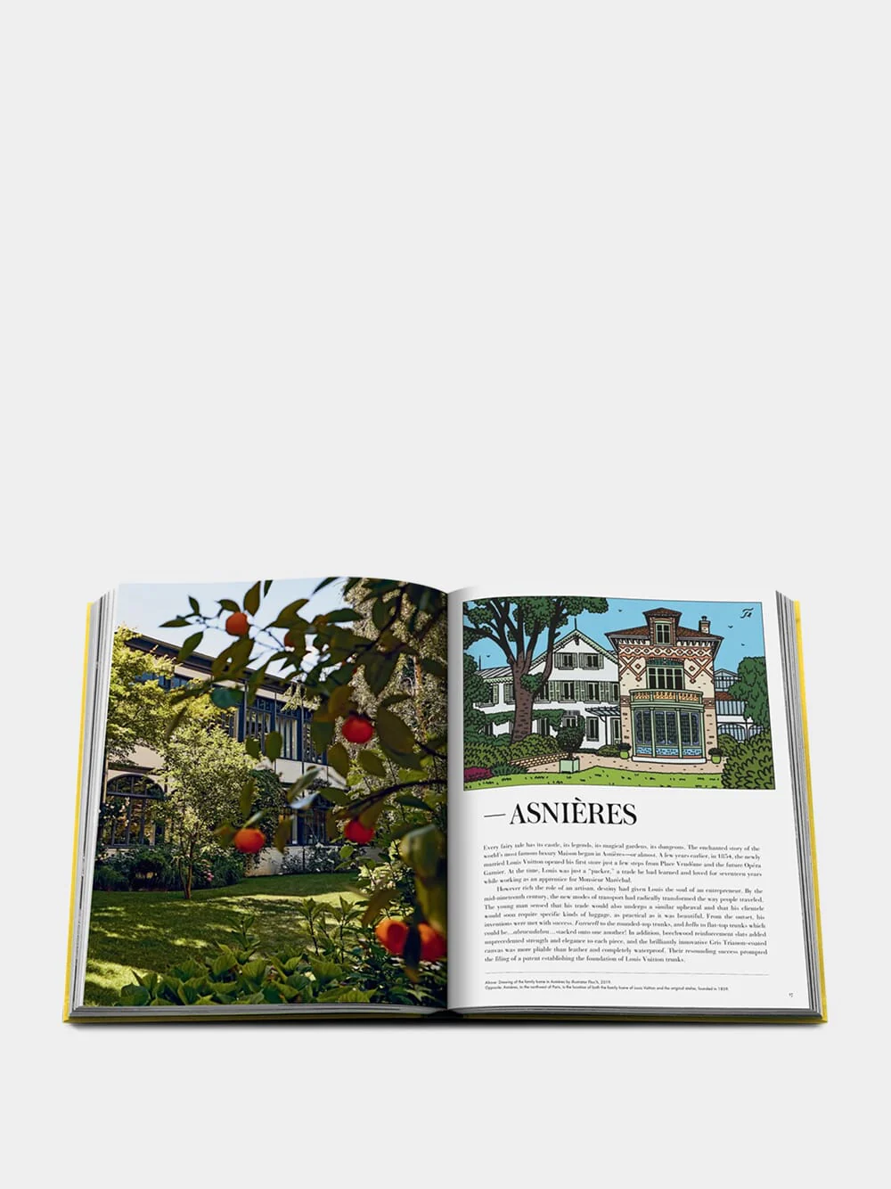 From Louis to Vuitton - Image 4