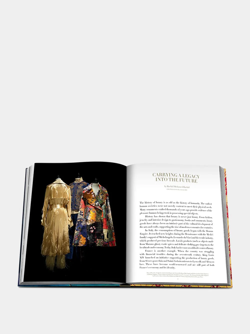Golden Opulence: 500 Years of Luxuriant Style - Image 6