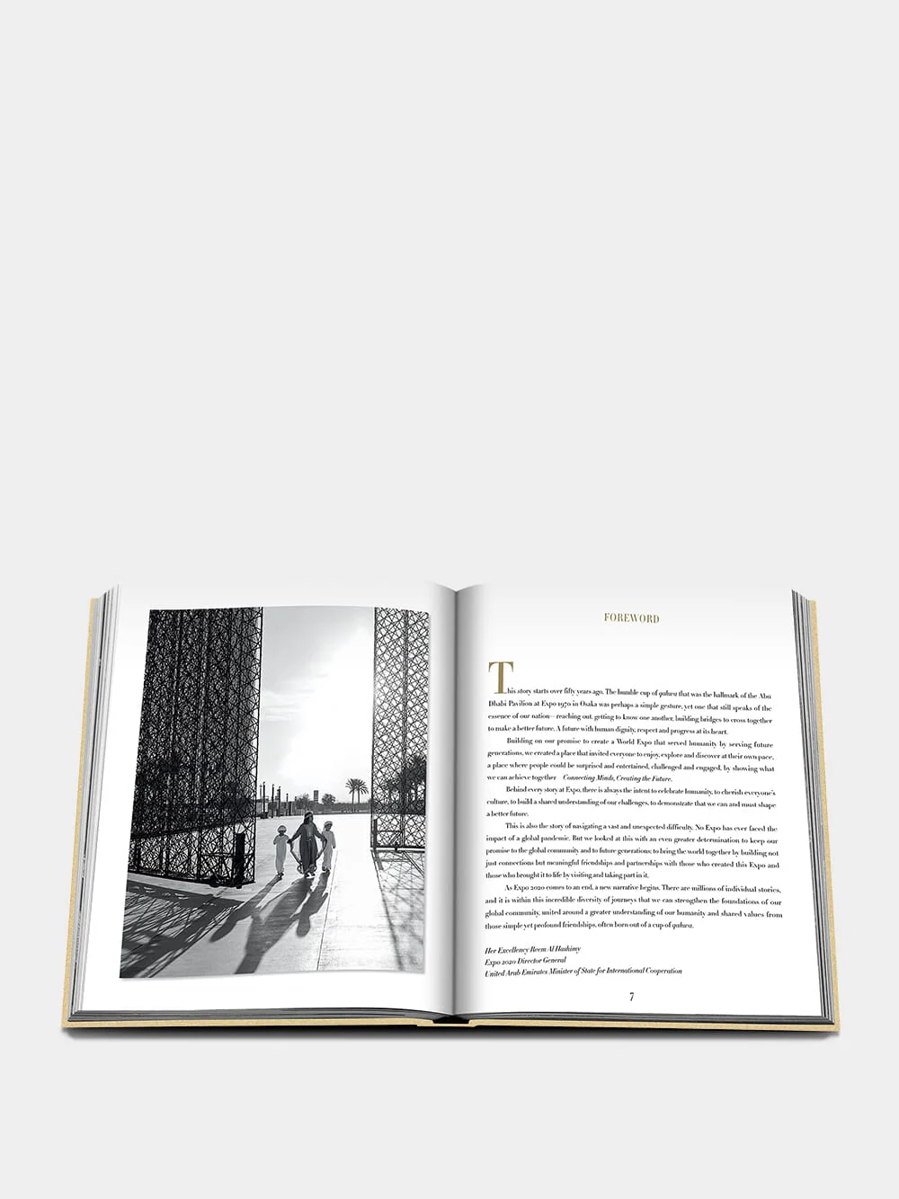 Expo 2020 Dubai: The Definitive Edition - Image 3
