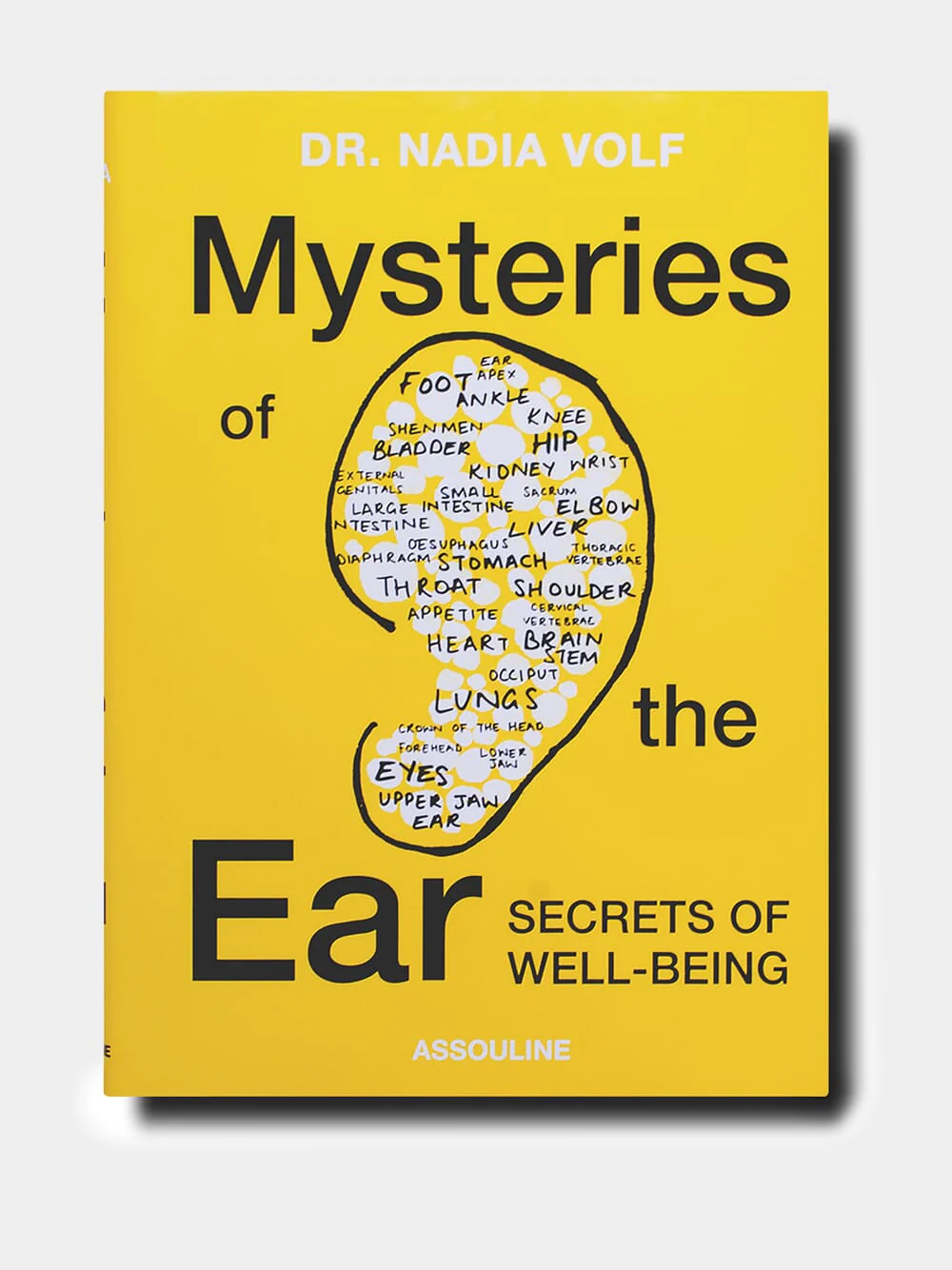 Mysteries of the Ear - Image 2