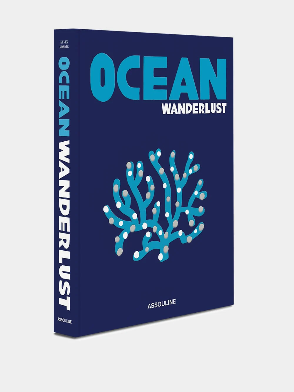 Ocean Wanderlust