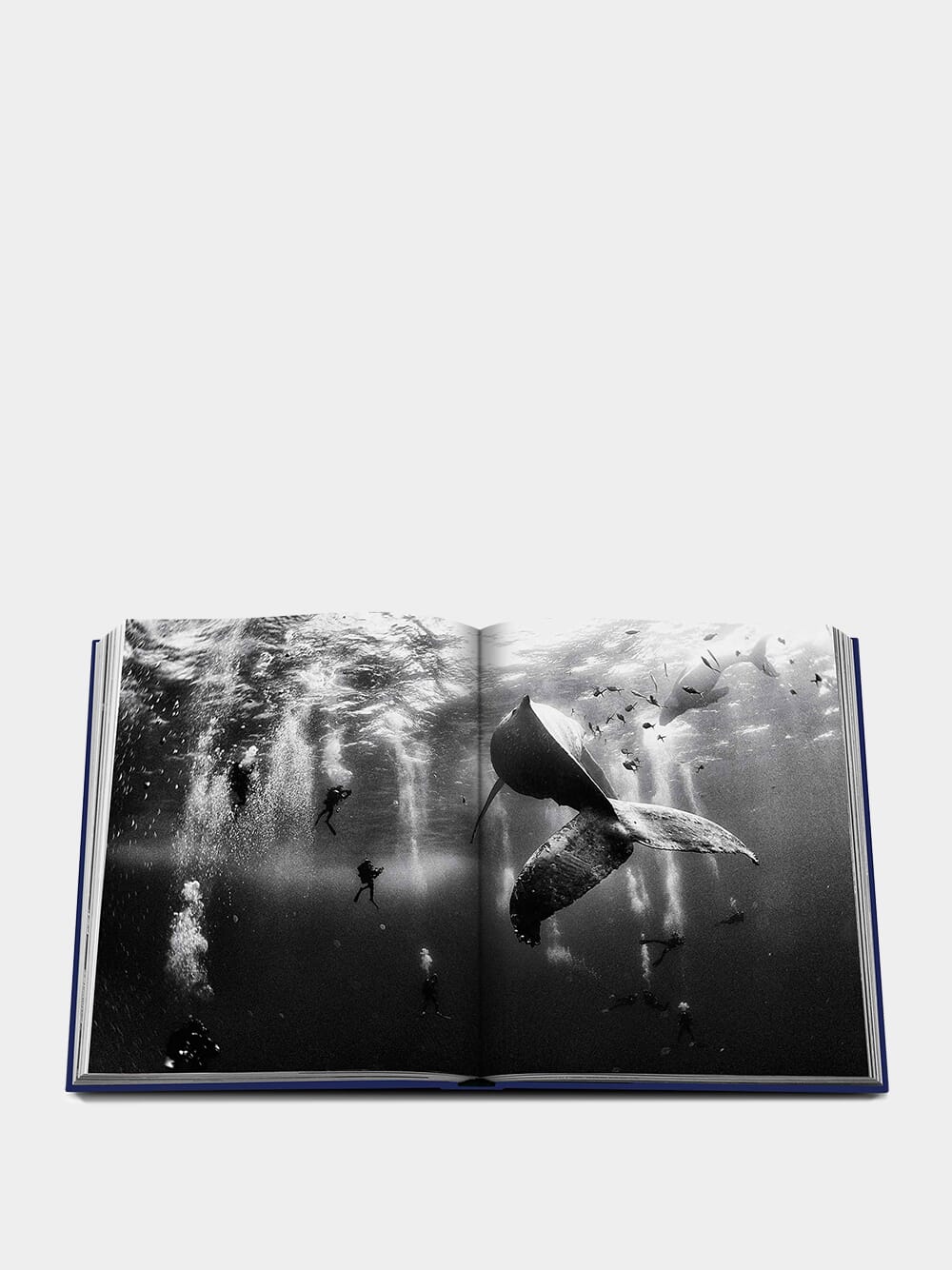Ocean Wanderlust - Image 3