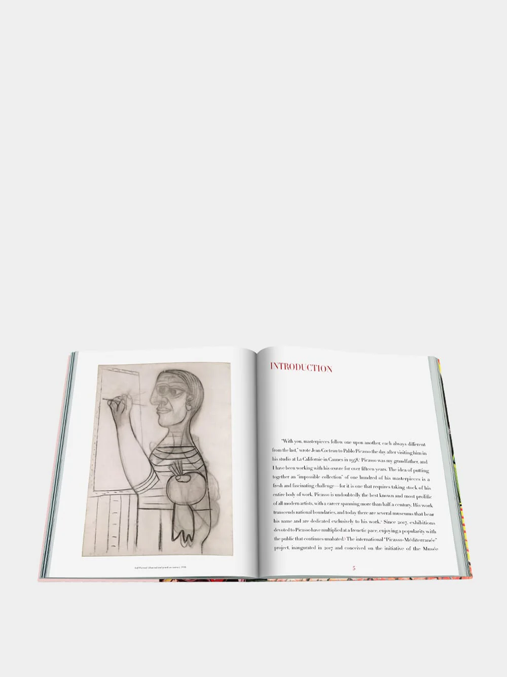 Pablo Picasso: The Impossible Collection - Image 3