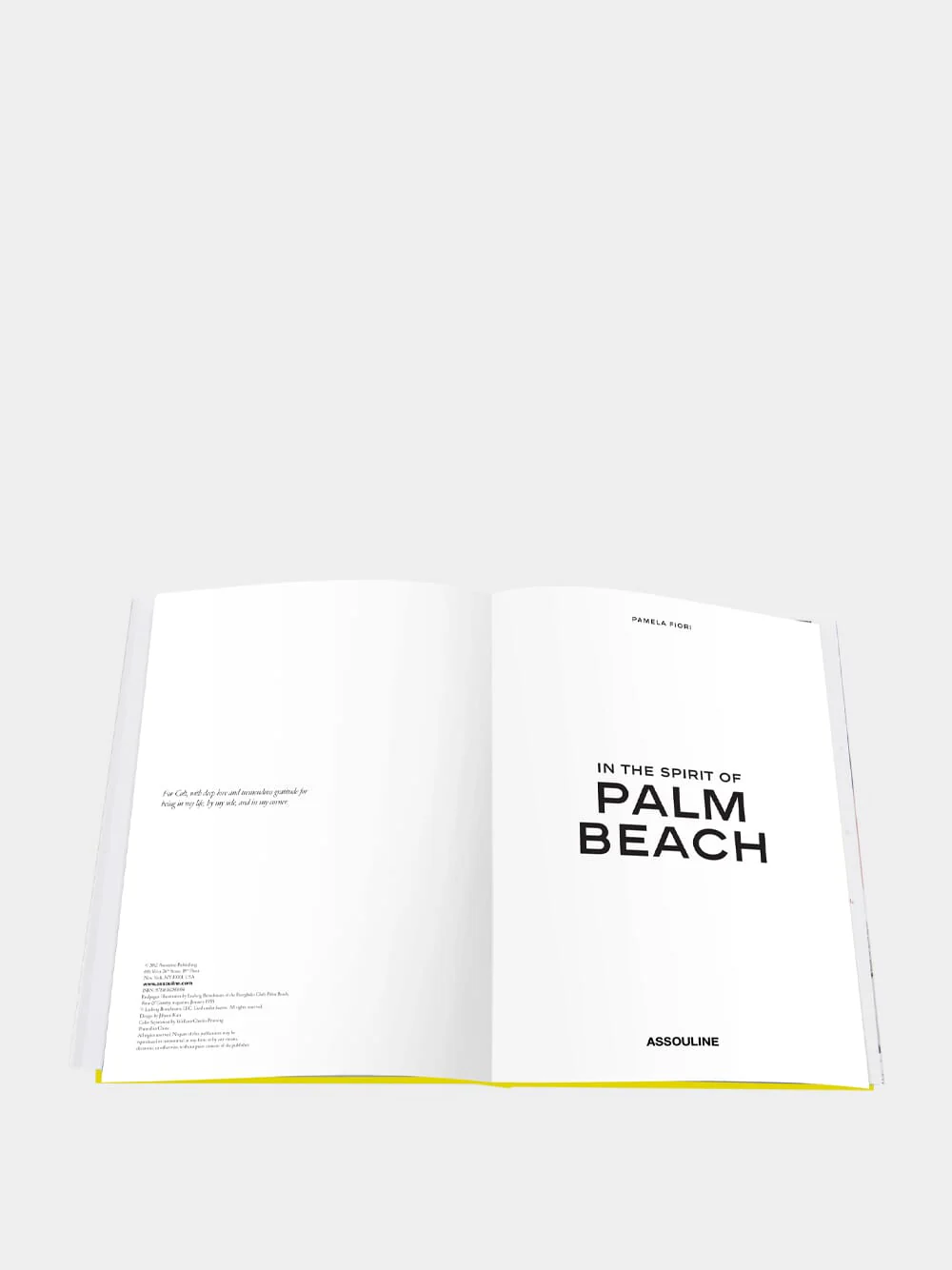 In the Spirit of Palm Beach - Image 3