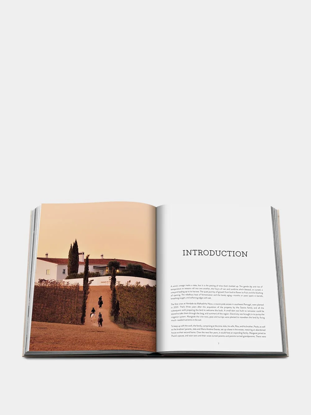 Malhadinha: The Soul of Alentejo - Image 4
