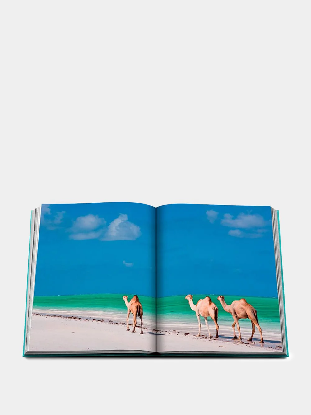 Red Sea: The Saudi Coast - Image 3