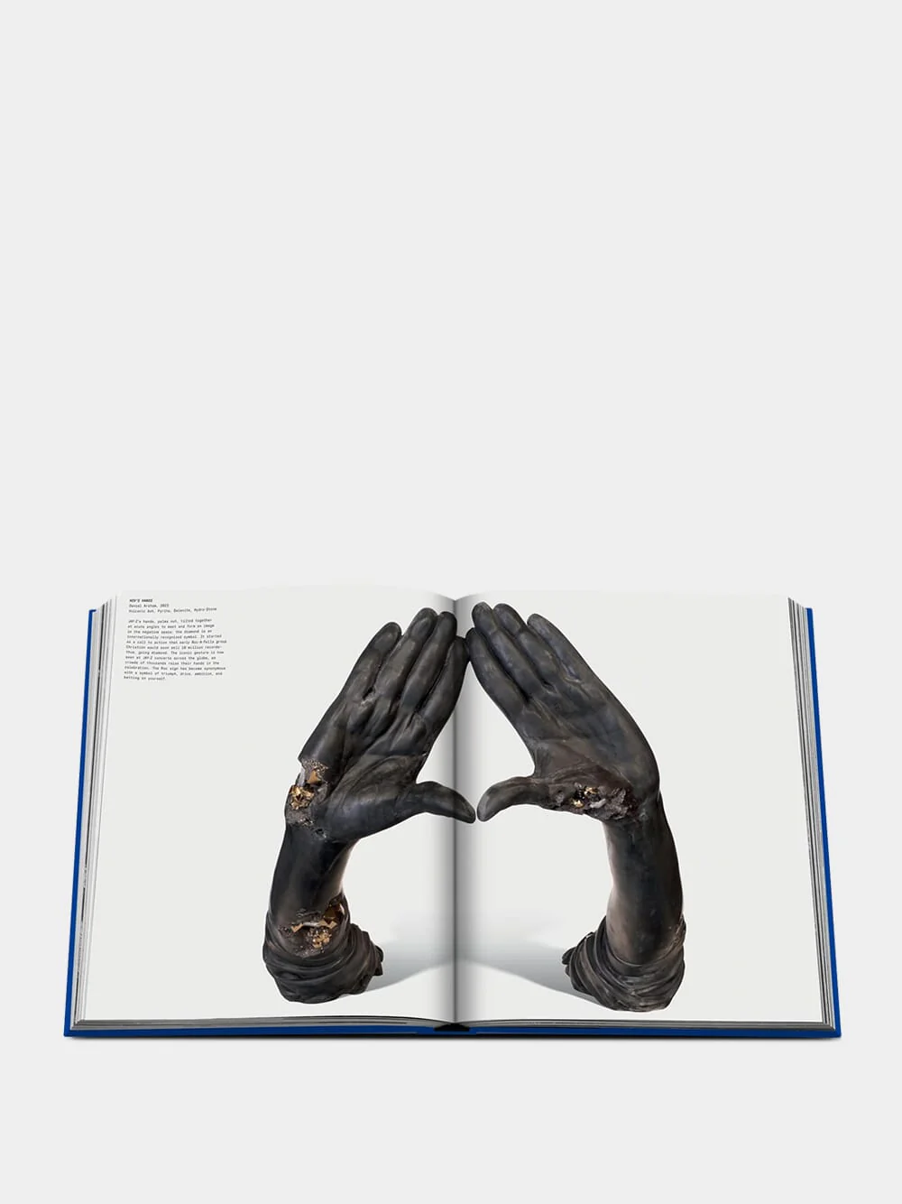 The Book of HOV: A Tribute to Jay-Z - Image 4