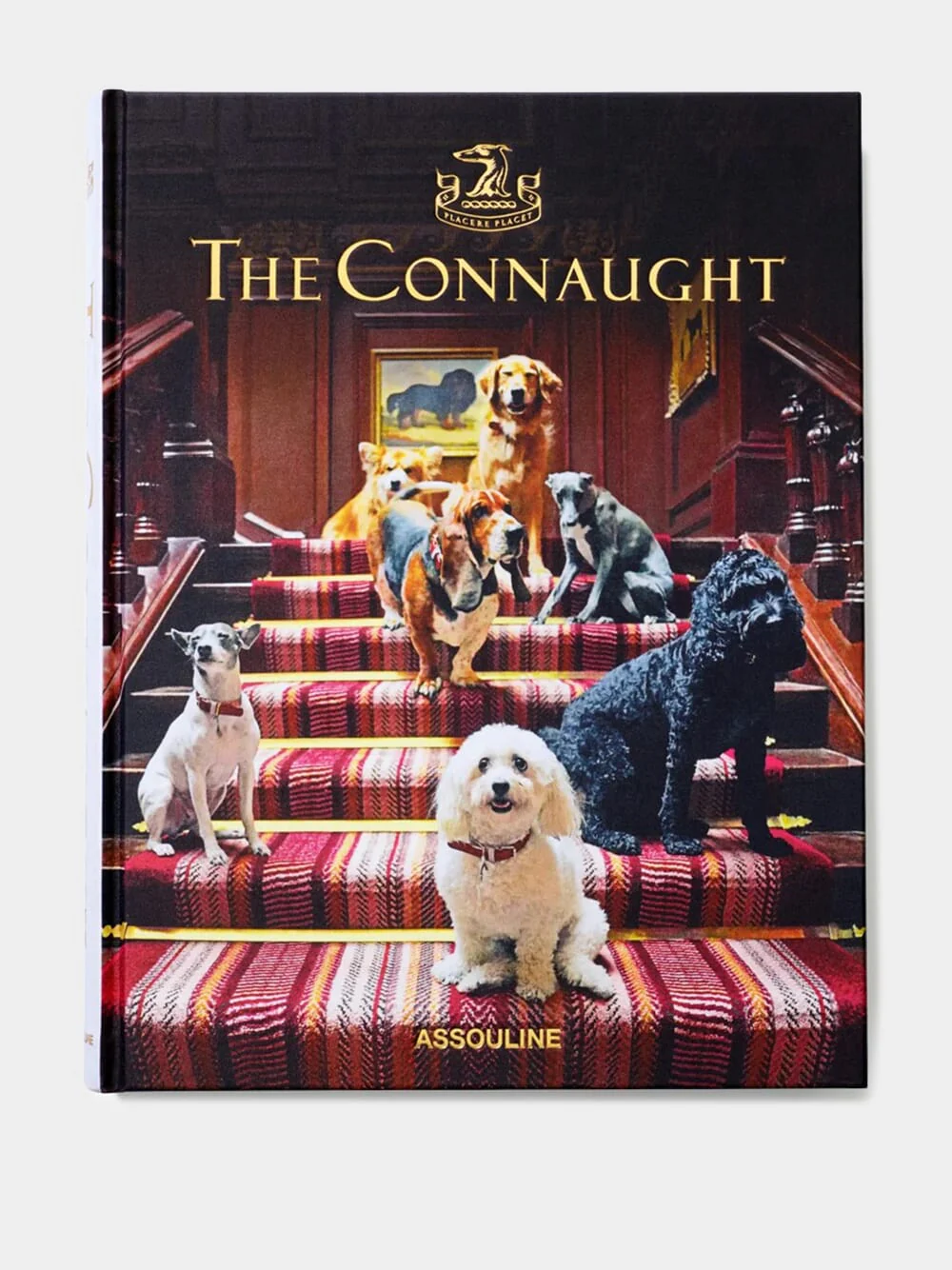 The Connaught - Image 3