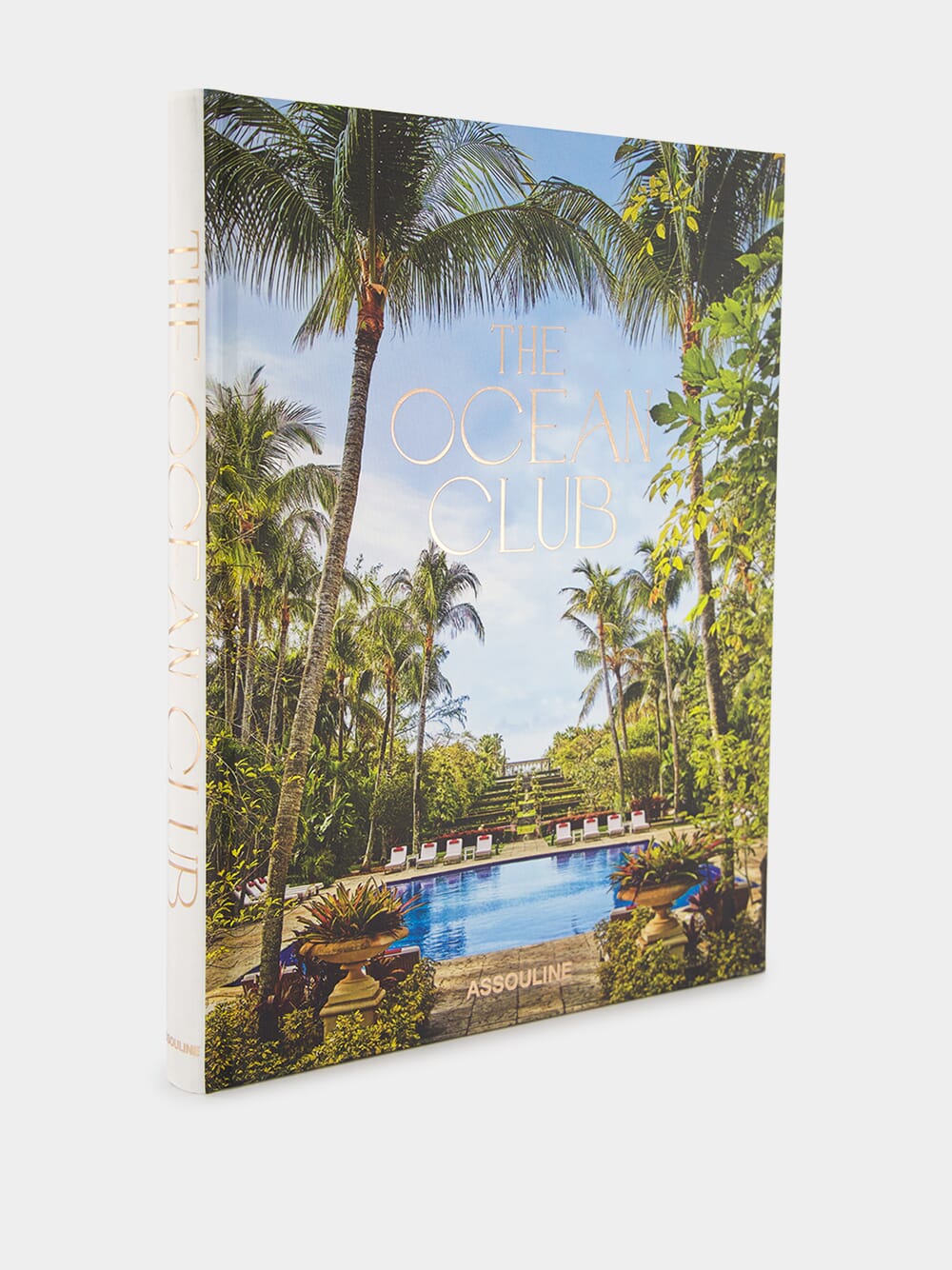 The Ocean Club by James Reginato