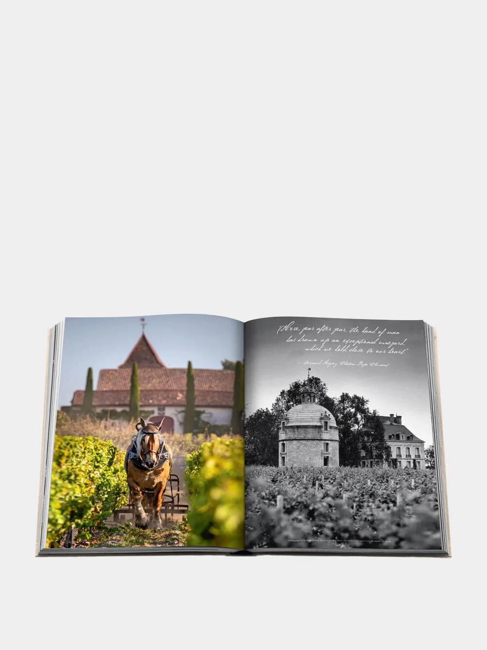 Wine & Travel France - Image 3