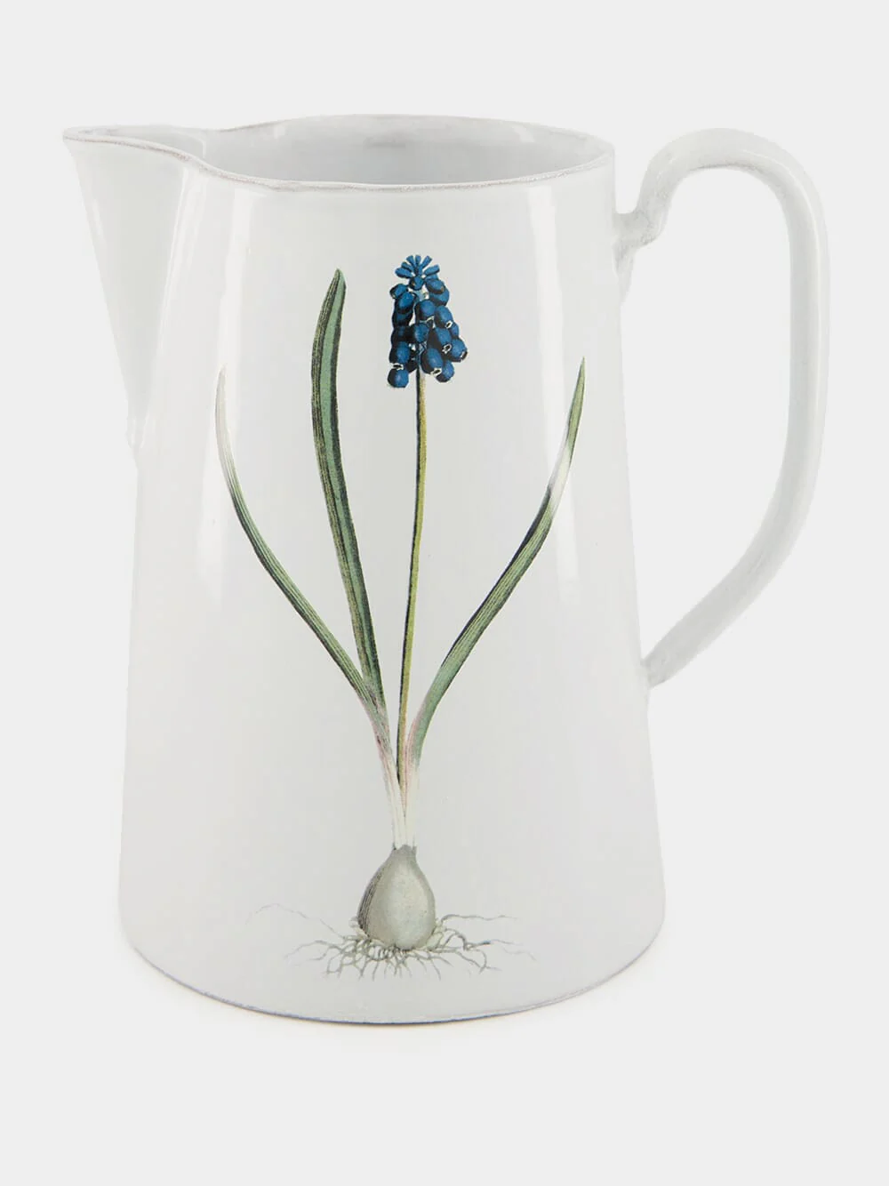 Muscari Pitcher