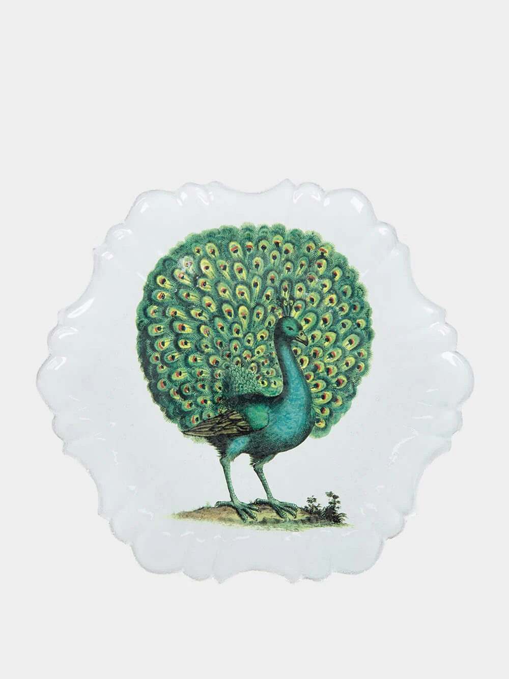 Peacock Dinner Plate