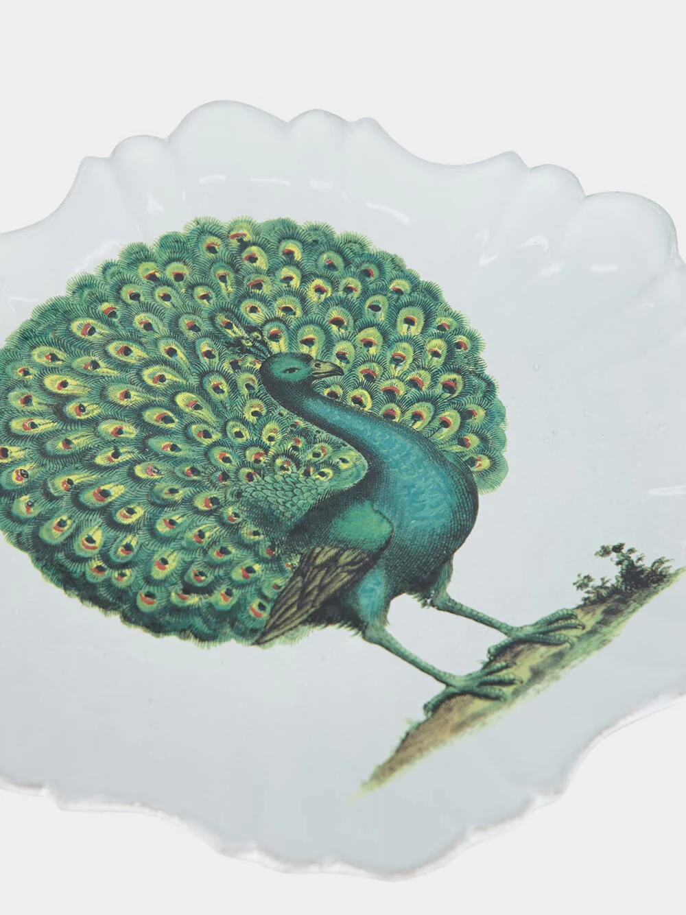 Peacock Dinner Plate - Image 4