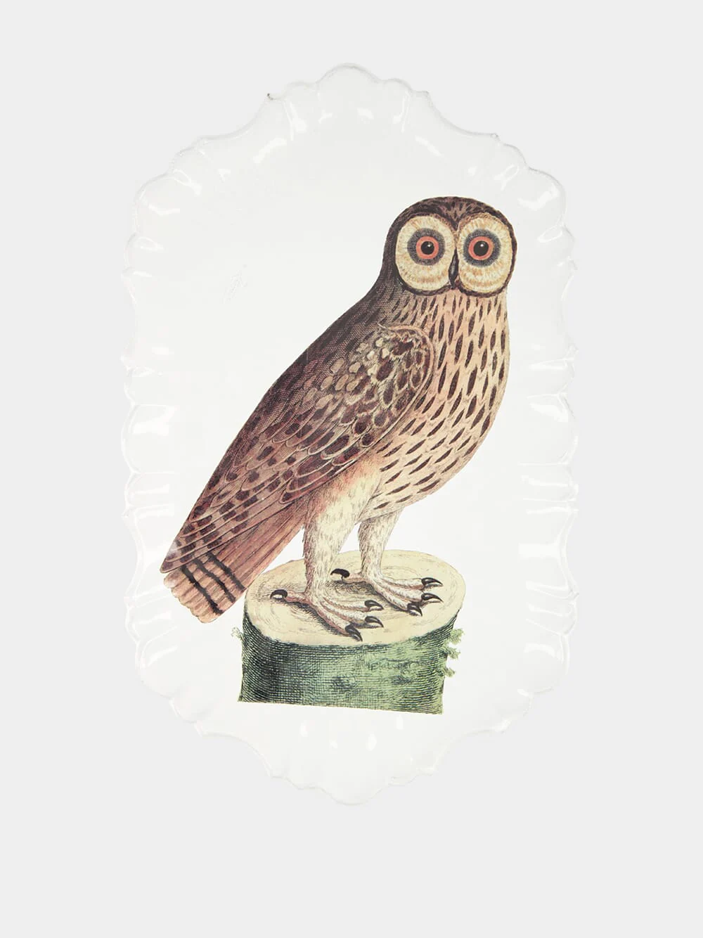 Platter Owl