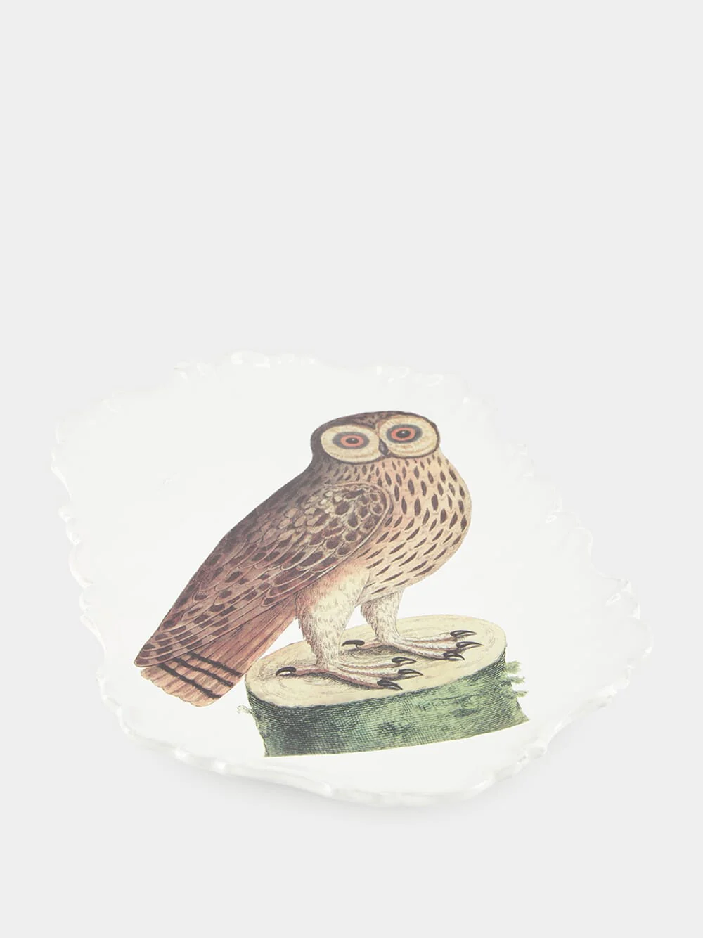 Platter Owl - Image 3