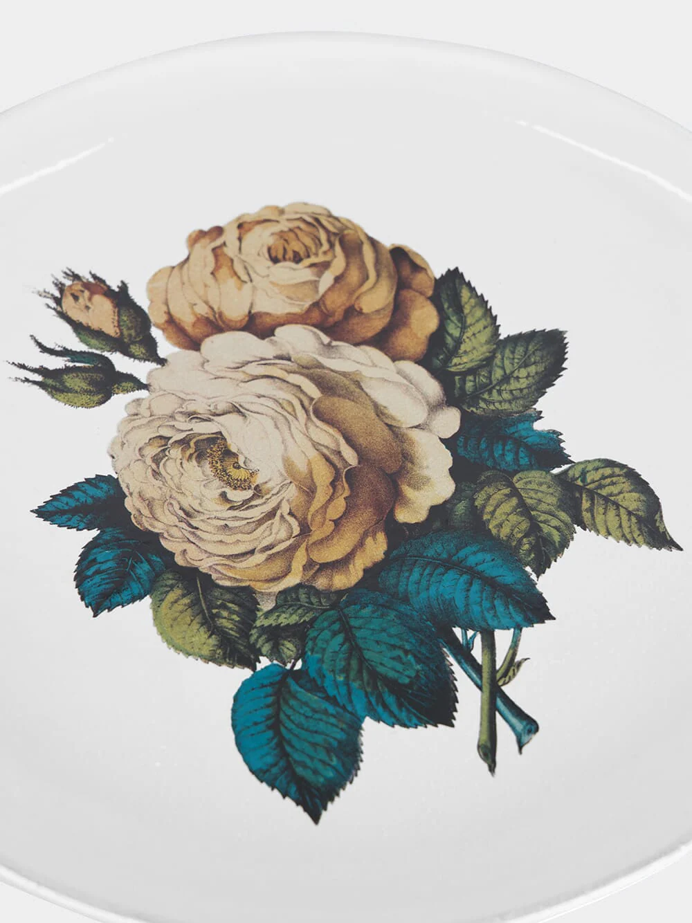 Sepia Rose Dinner Plate - Image 4