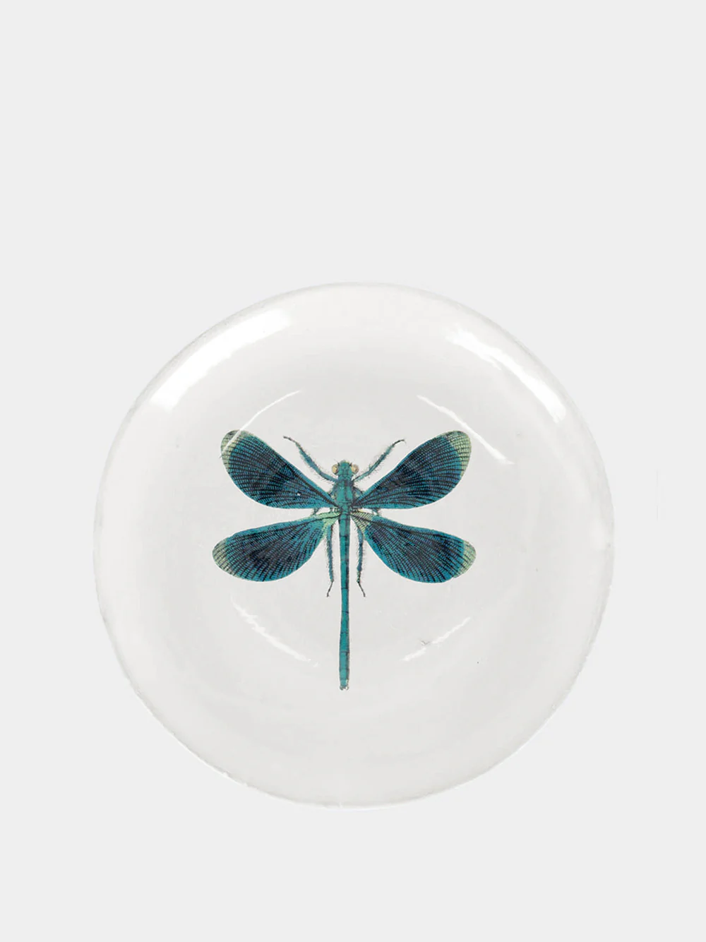 Small Dragonfly Soup Plate
