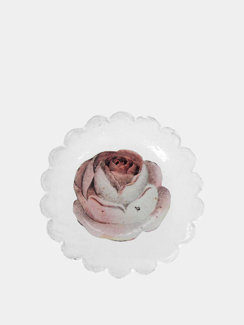 Small Rose and Insect Dish