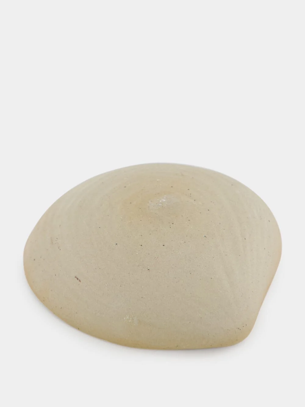 Bakur Seashell Tray - Image 3