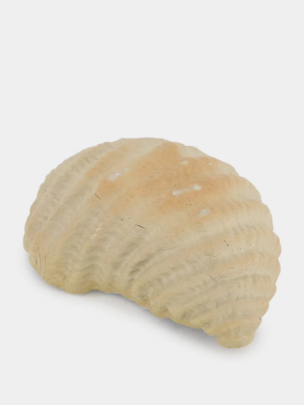 Bakur Seashell Tray - Image 4