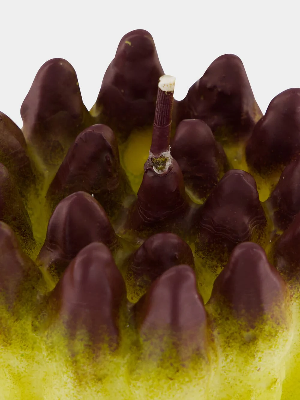 Bunch of Asparagus Wax Candle - Image 3