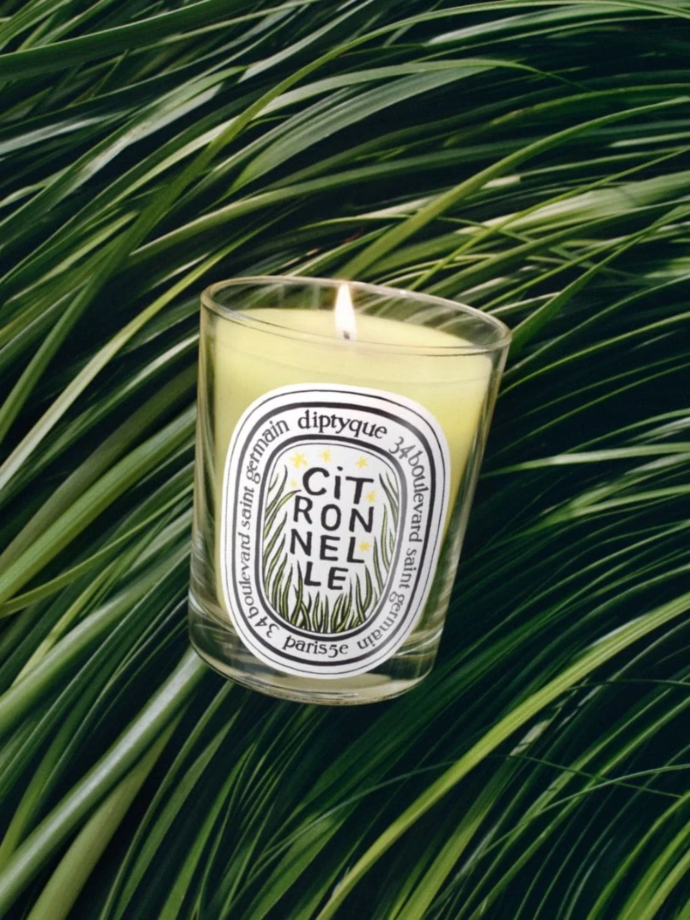 Citronnelle (Lemongrass) Classic Candle 190gr - Limited Edition - Image 2