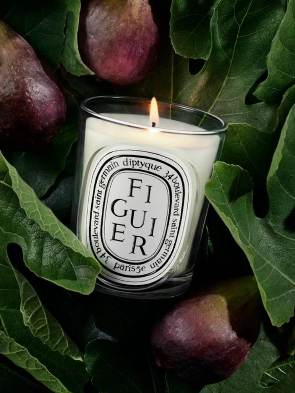 Figuier Classic Candle 190gr