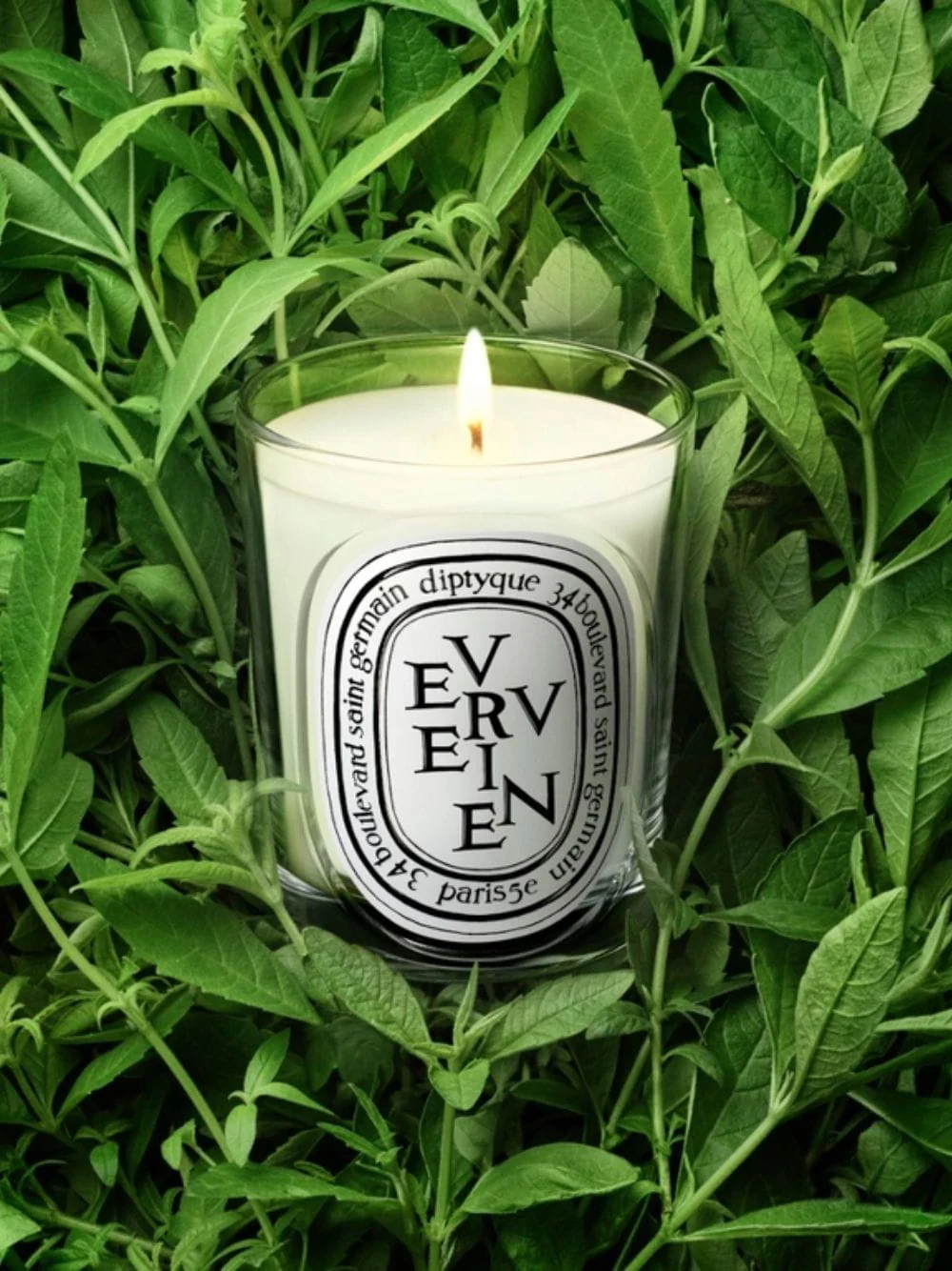 Verveine Classic Candle 190gr - Image 2