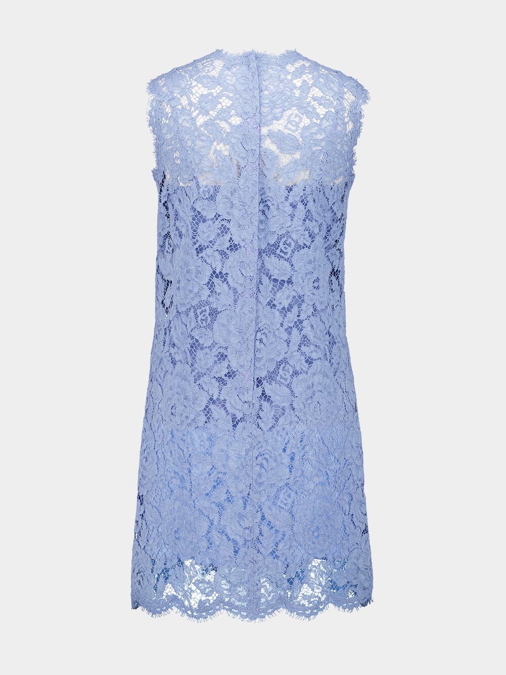 Sleeveless Floral Lace A-Line Dress - Image 3