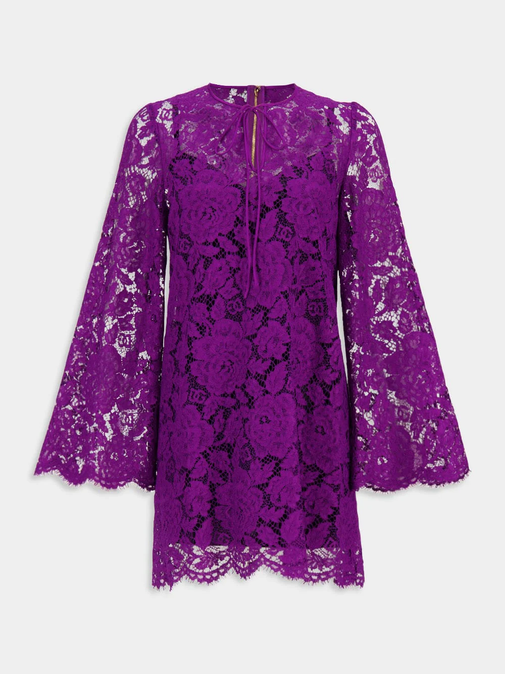 Violet Cordonetto Lace Short Dress - Image 2