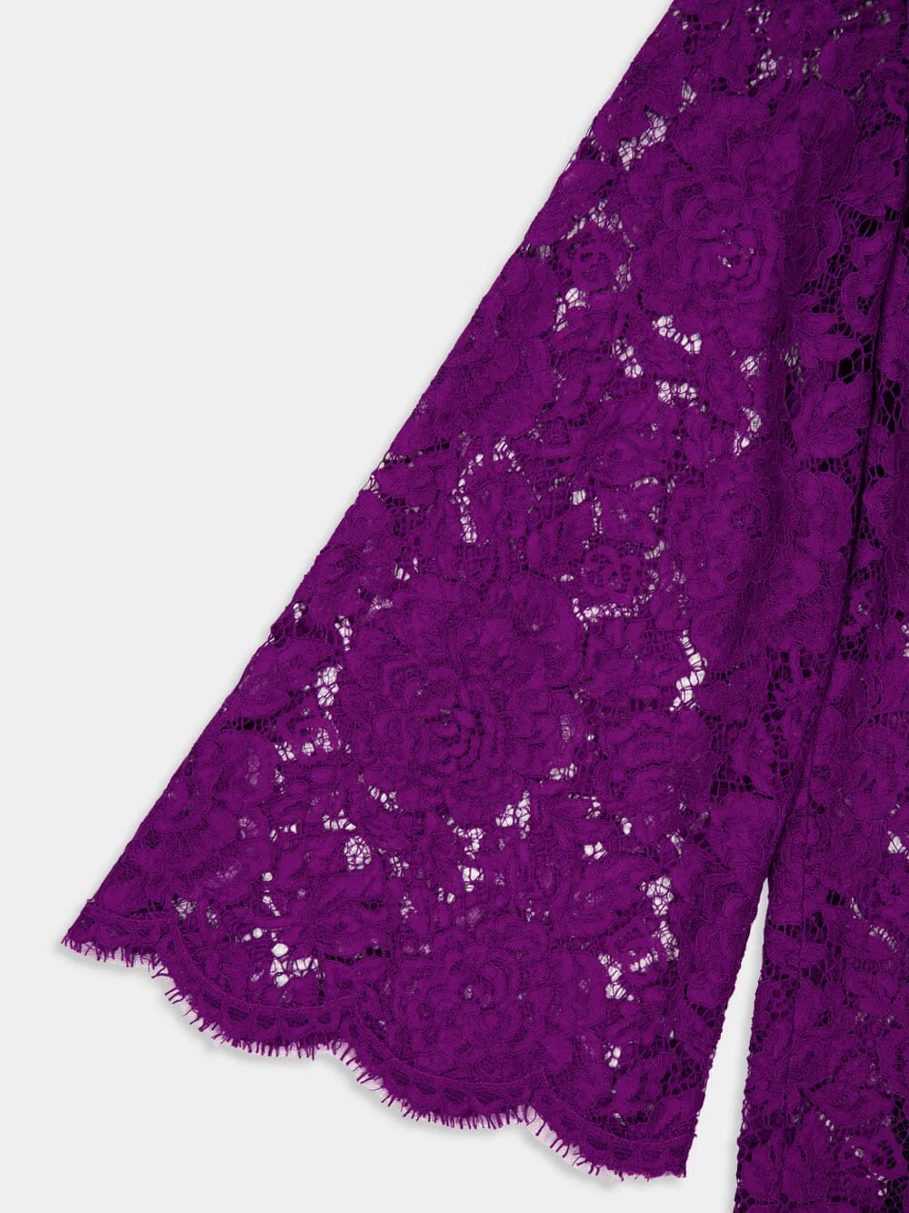 Violet Cordonetto Lace Short Dress - Image 6