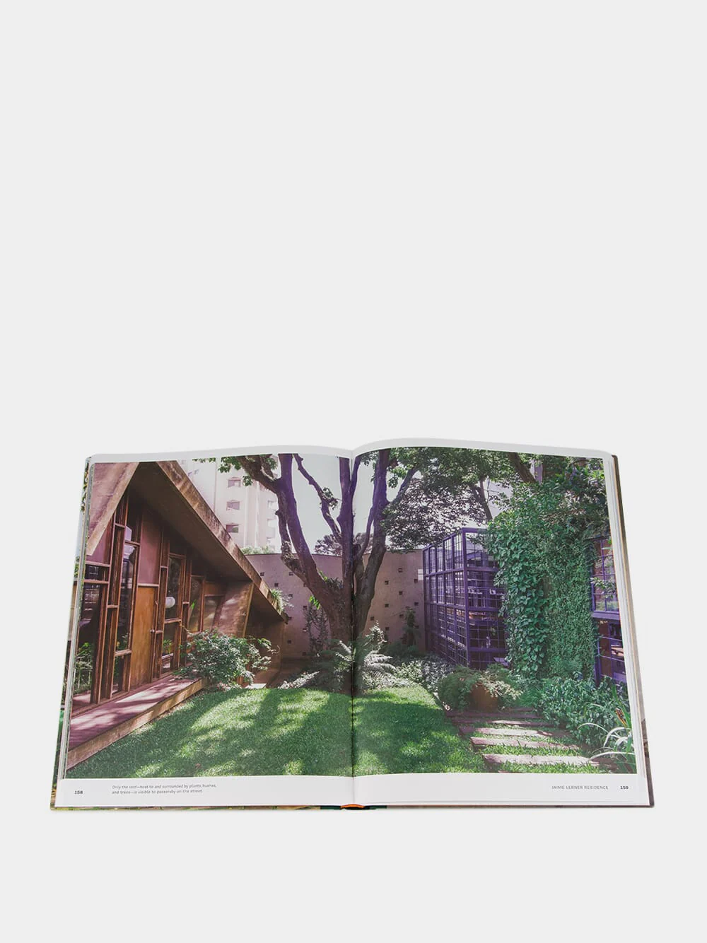 Concrete Jungle Book - Image 4