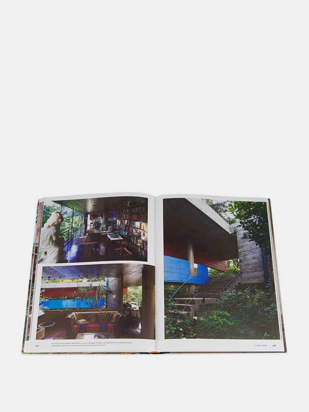 Concrete Jungle Book - Image 5