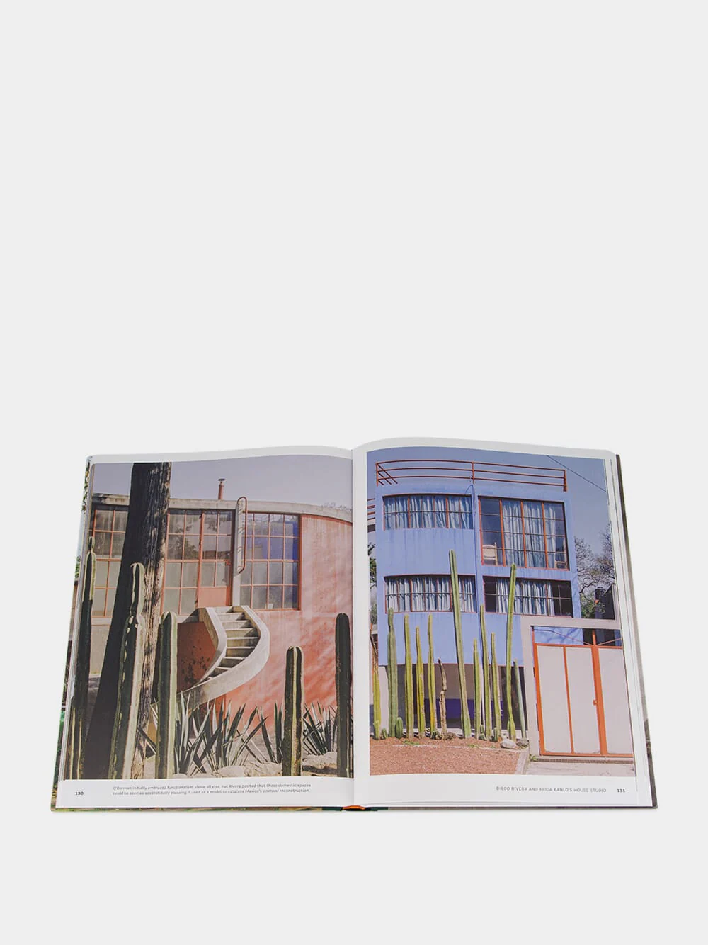 Concrete Jungle Book - Image 6