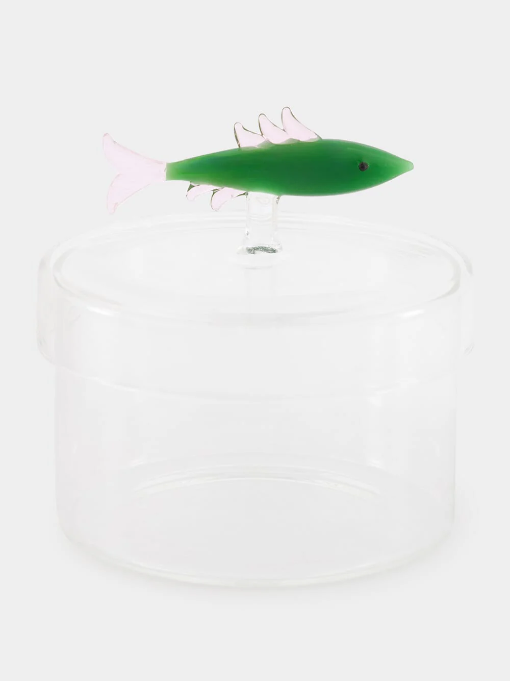 Fish Green Box