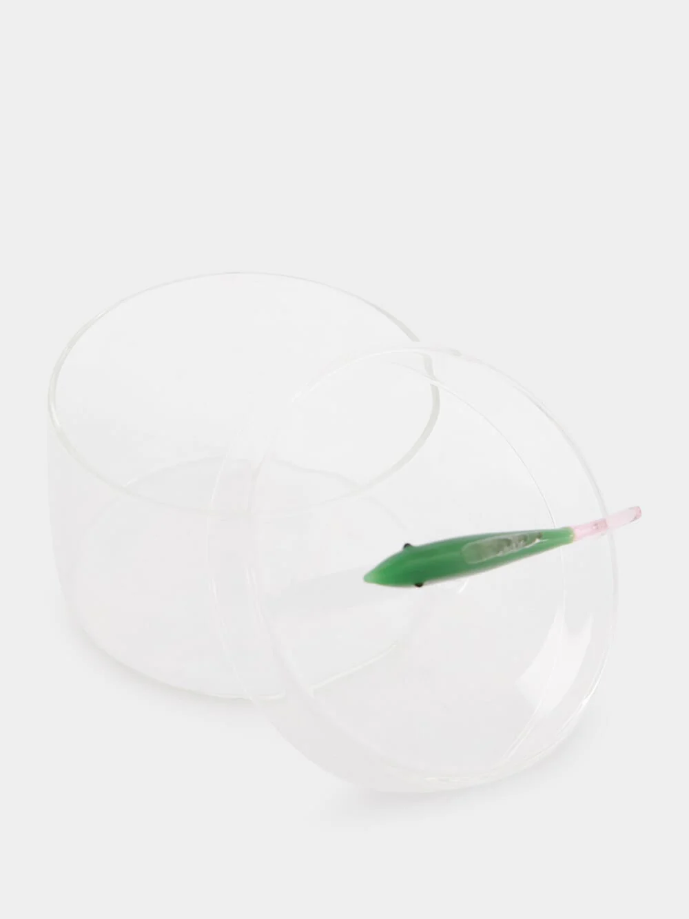 Fish Green Box - Image 2