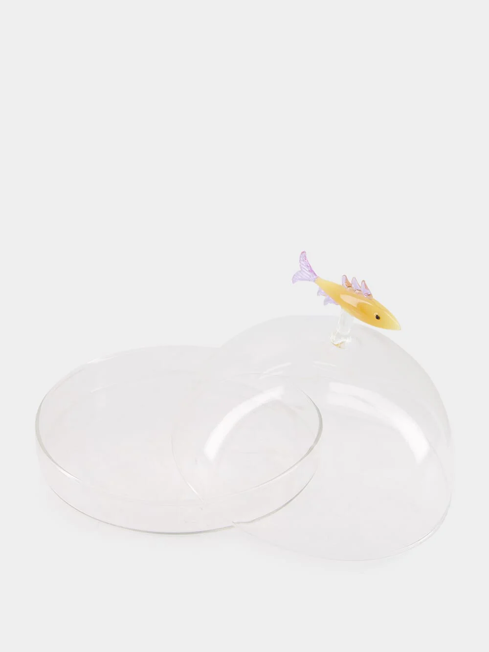 Sardine Dome with Dish - Image 2