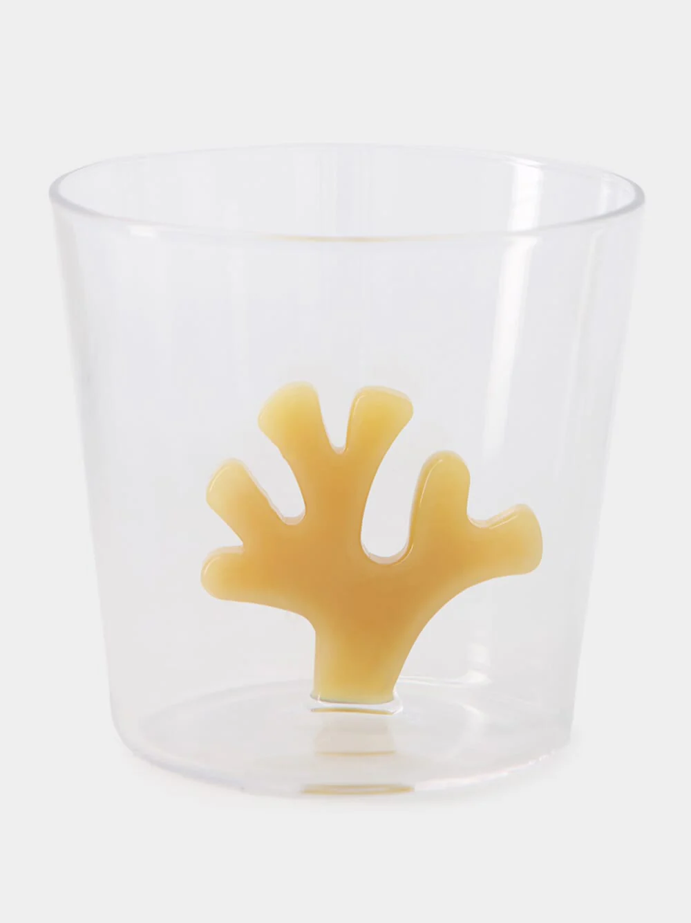 Orange Coral Reef Tumbler Glass